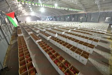 مساعدة غزة 4